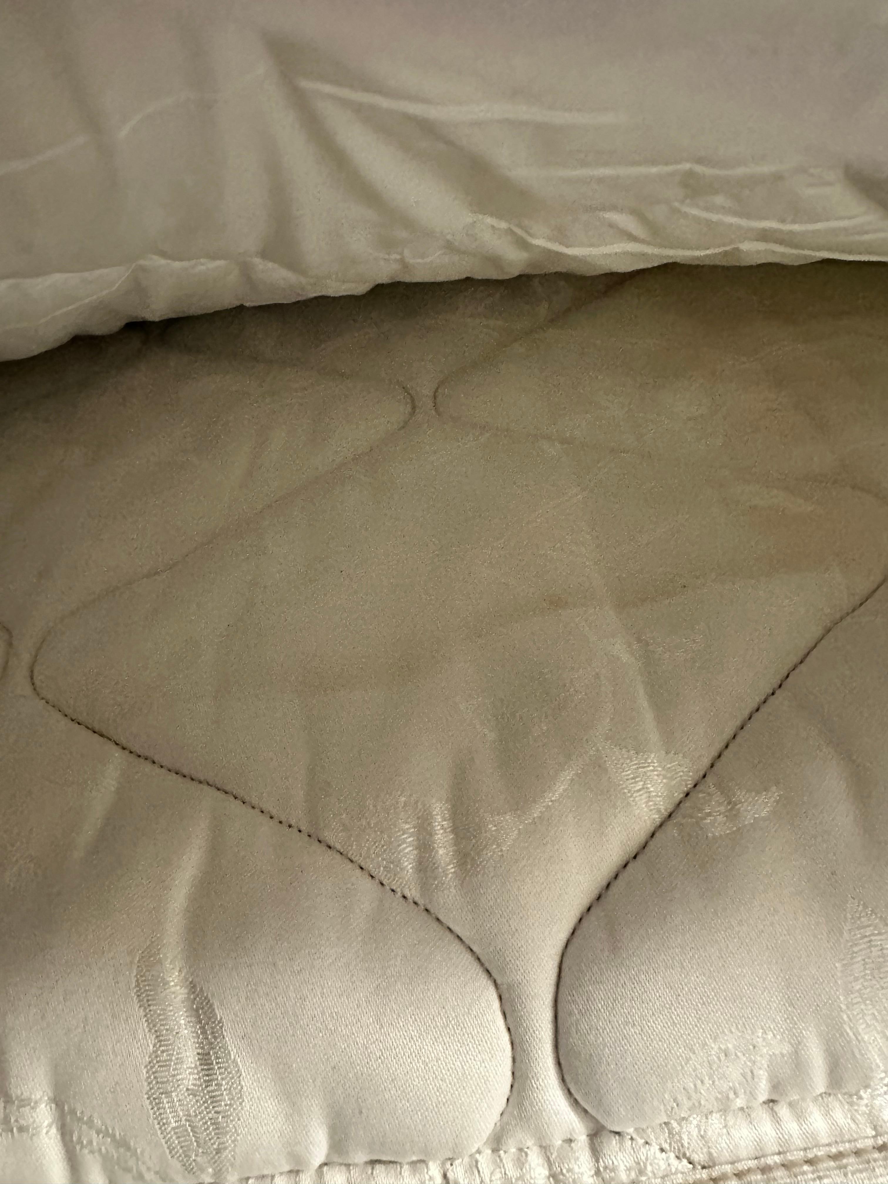 Stained Mattress