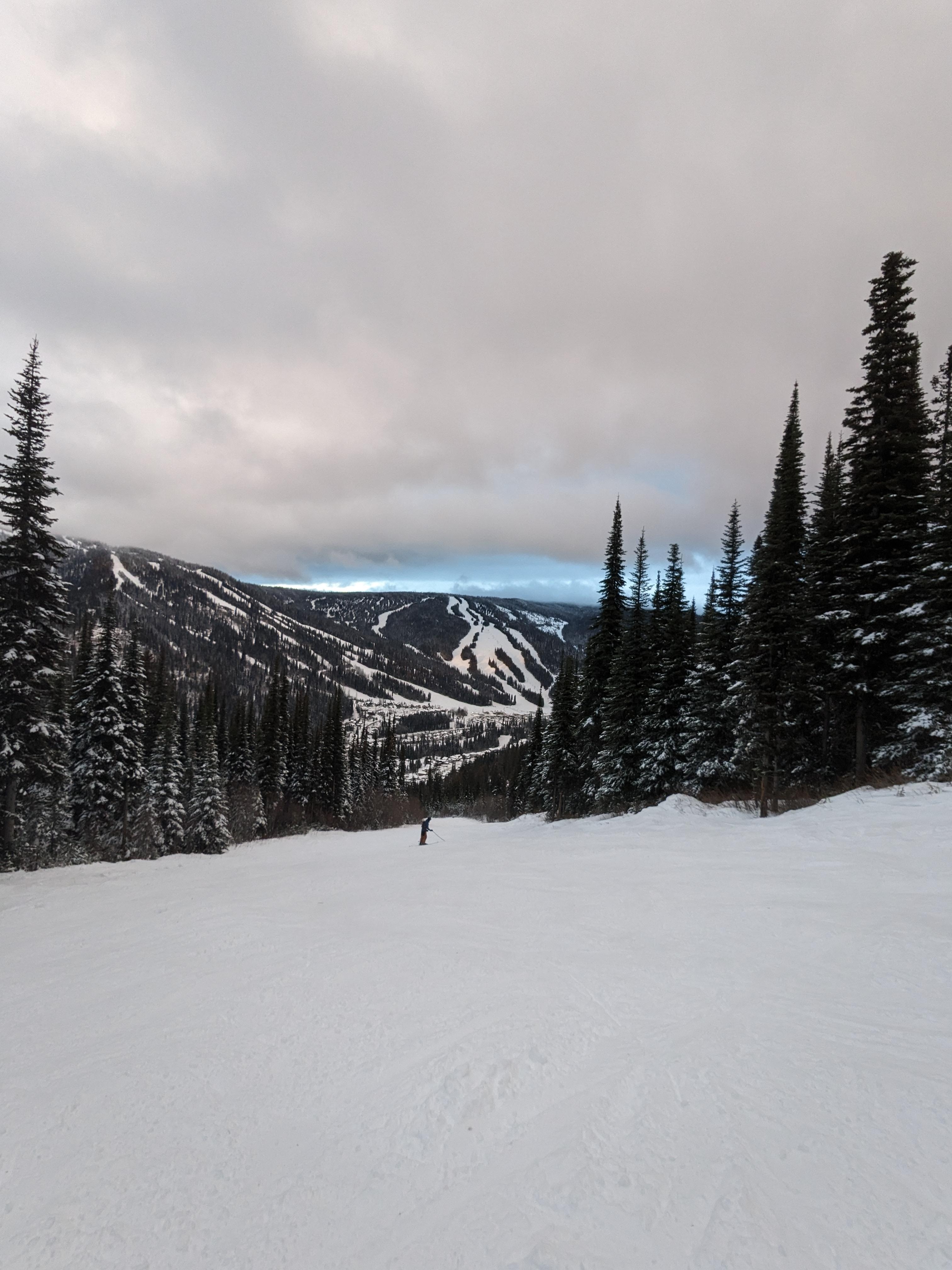 From the run right above the VRBO, off Morrissey Chair.