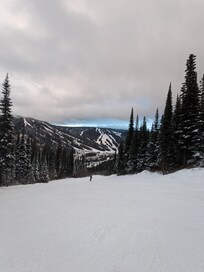 From the run right above the VRBO, off Morrissey Chair.