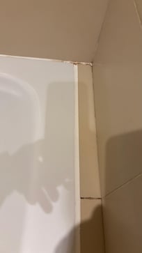 Black mold/stain