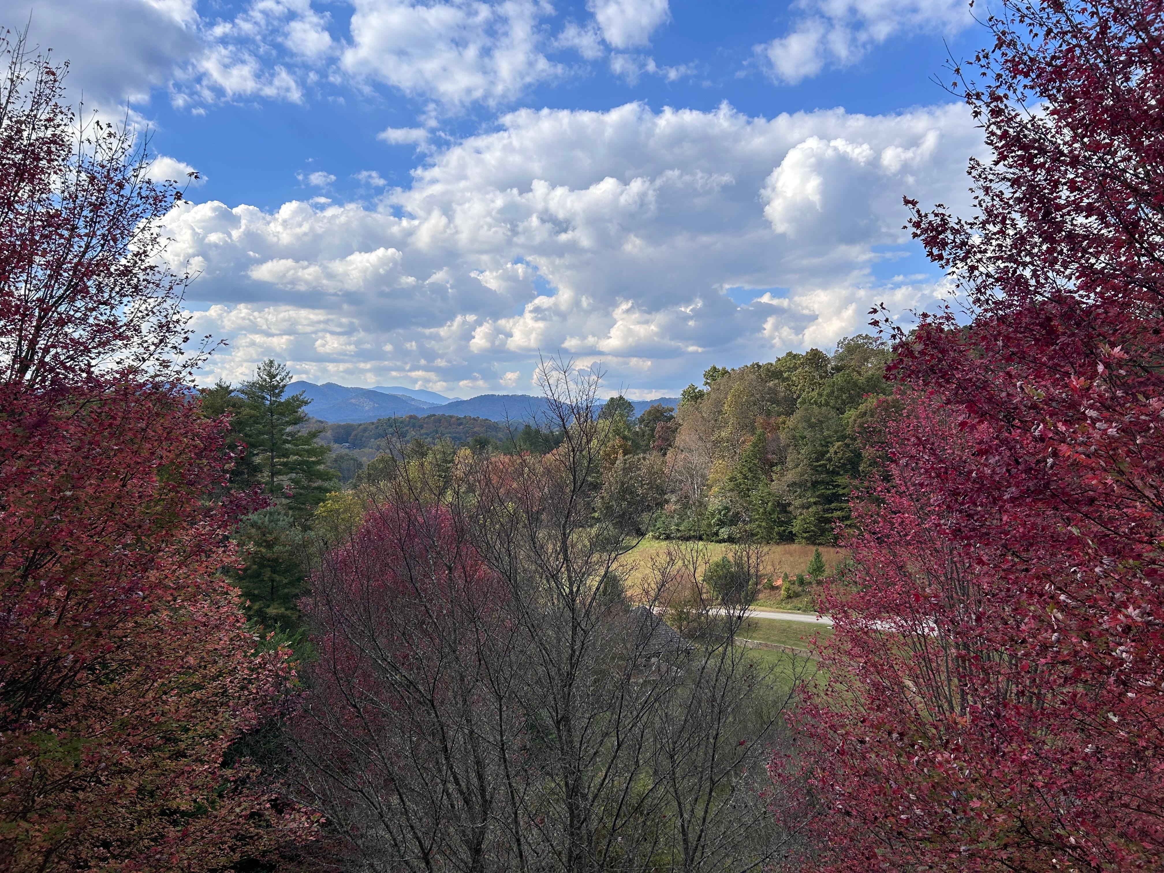 view from the back deck