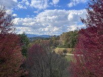 view from the back deck