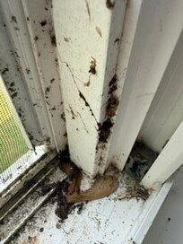 Bugs and cobwebs in every corner, window and door of the house. We spent an hr cleaning when we arrived and there is still more. Dead bugs everywhere