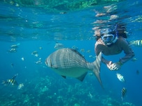 Snorkeling right off the beach