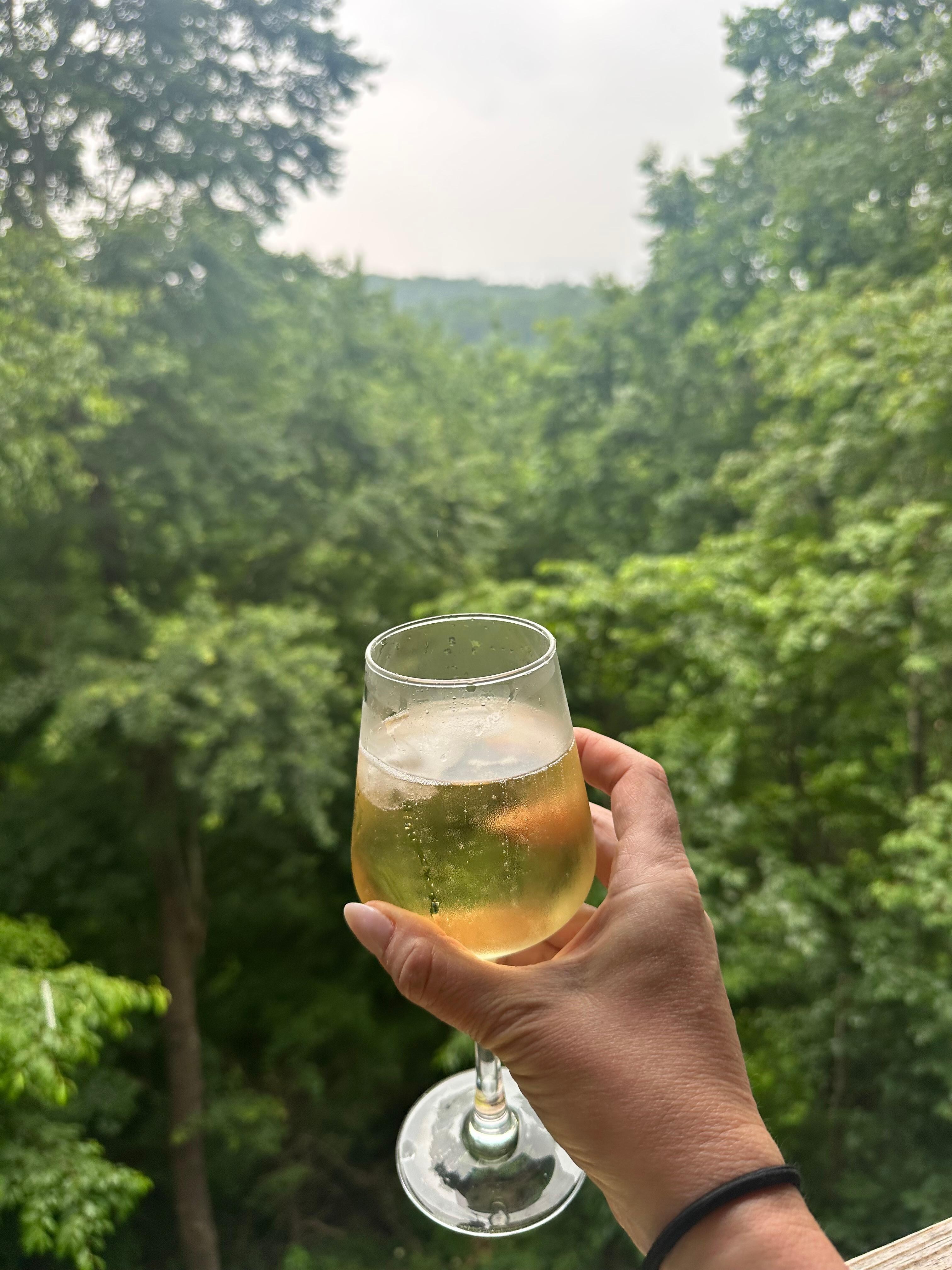 Daytime view of Mount Le Conte with some champagne 