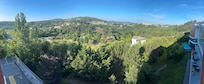 View from the room