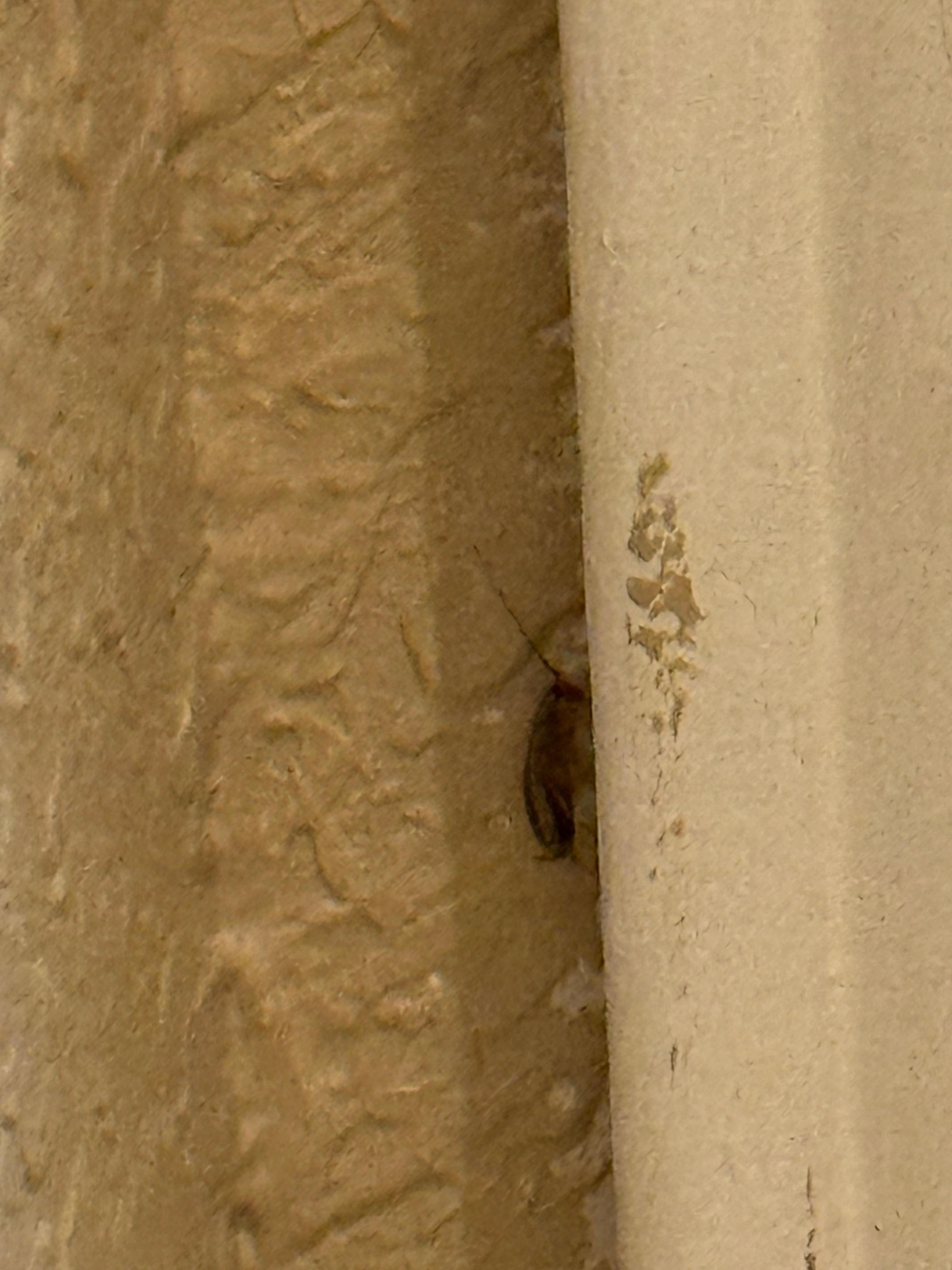 Roaches in bathroom and nightstand