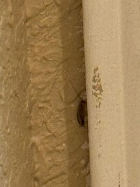 Roaches in bathroom and nightstand