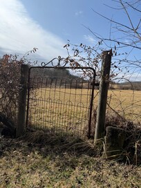 Beautiful surroundings