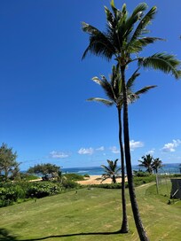 View from the back lanai