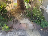 charcoal dumped in the flower beds by the pool. Plants not maintained