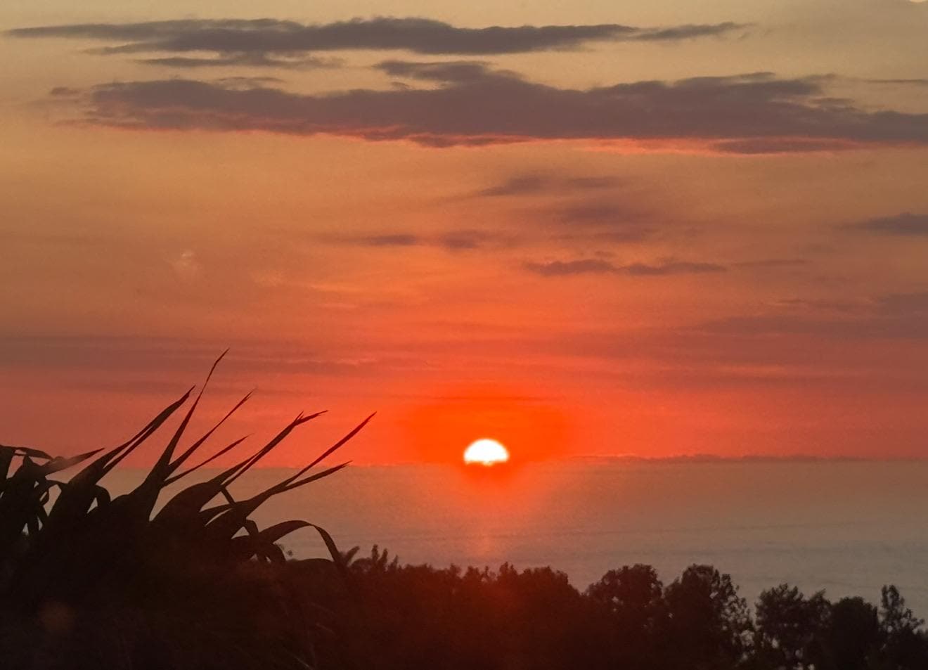 View from one of the balconies