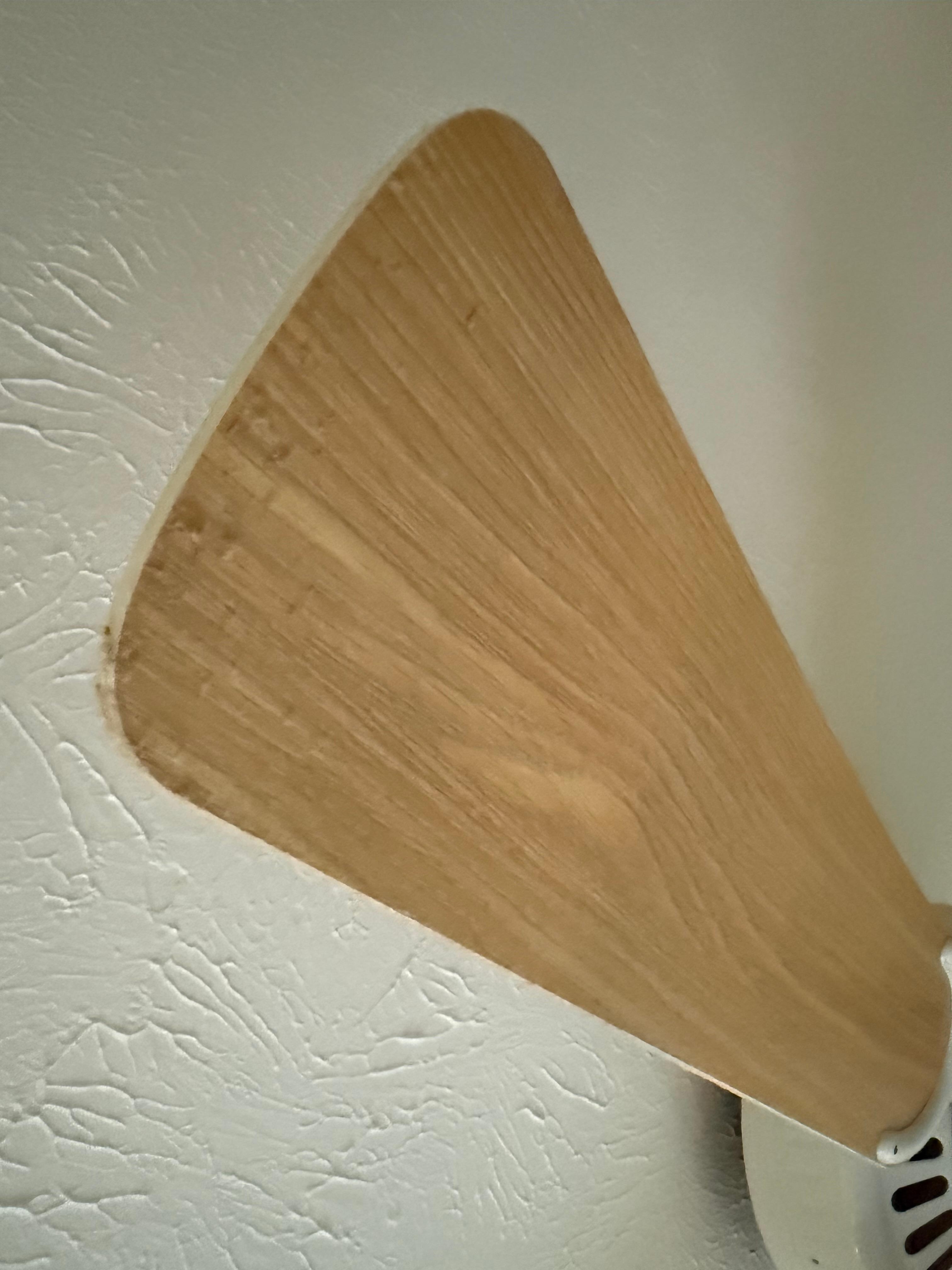 Dirty ceiling fans