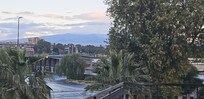 Balcony morning shot.