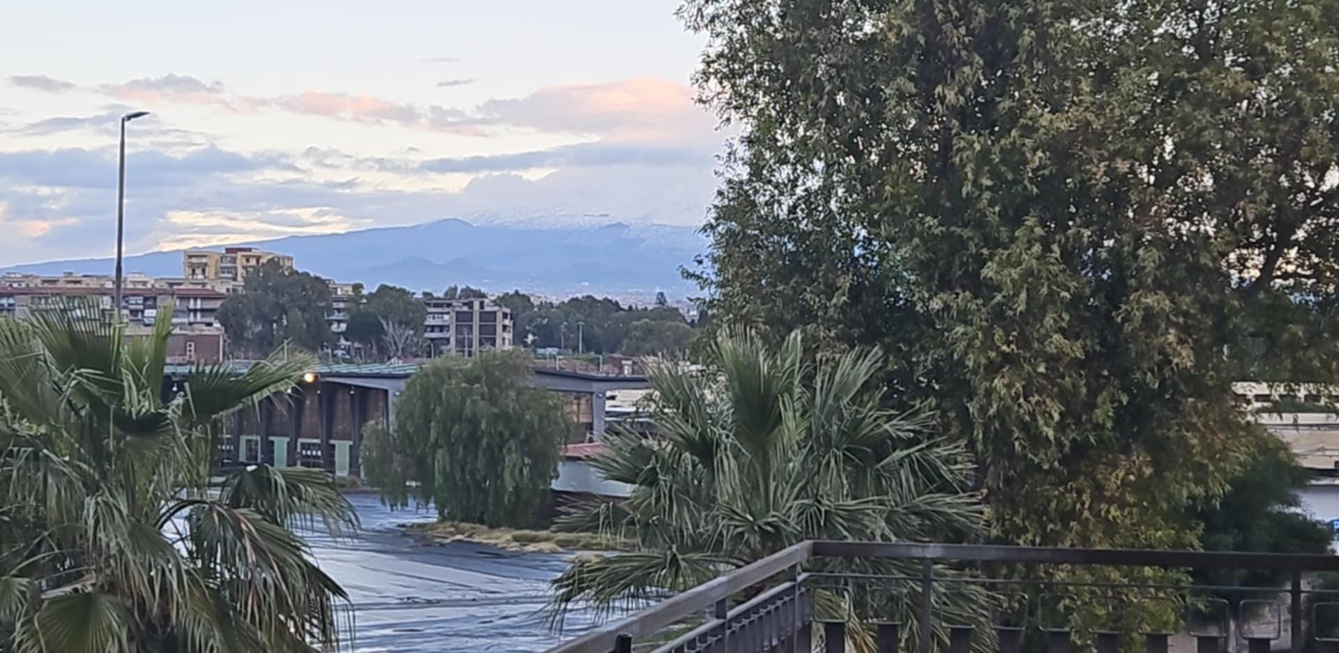 Balcony morning shot. 