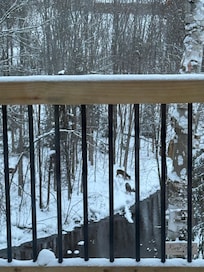 Our morning visitors. View from the deck.