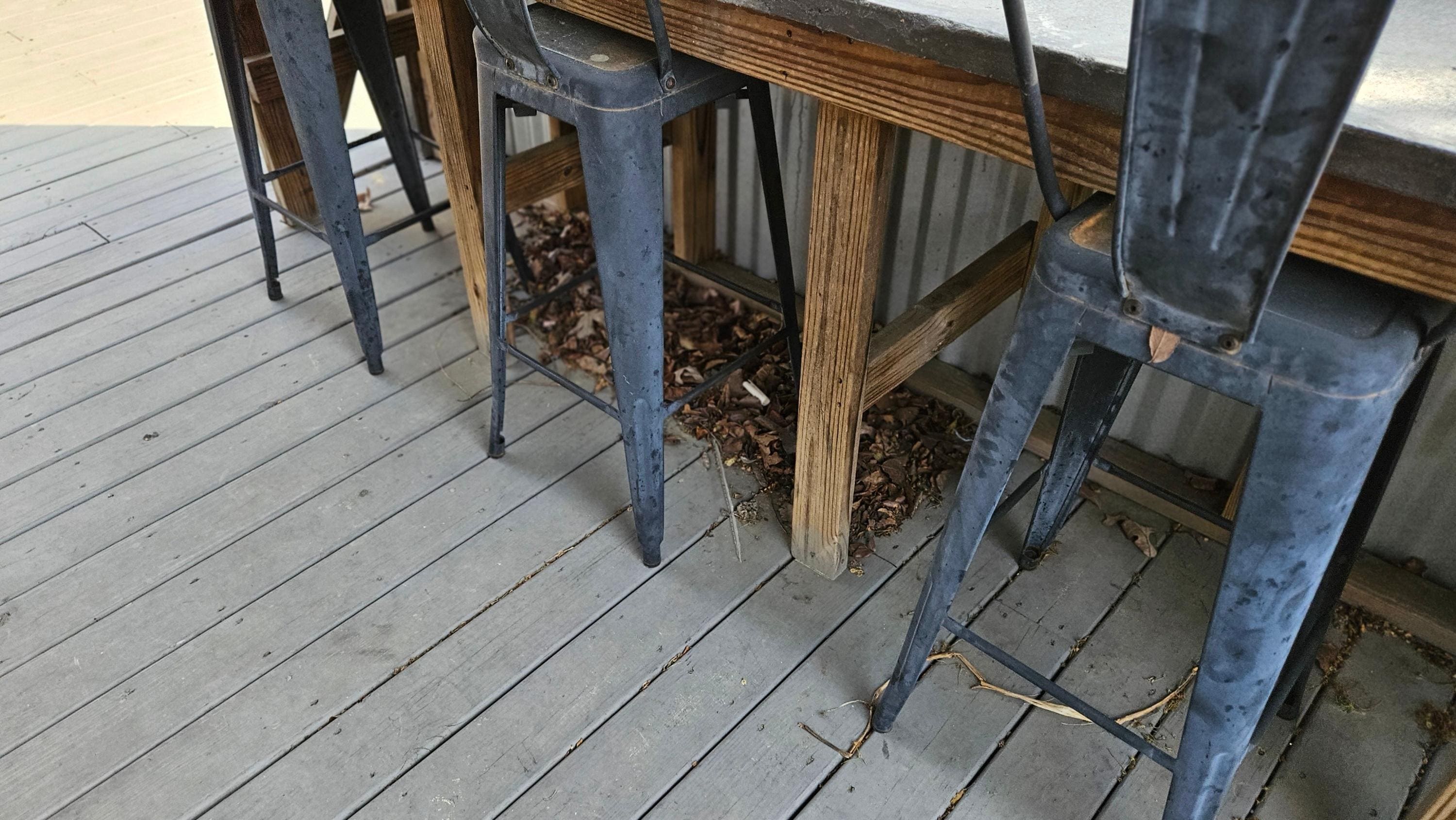 leaves piled up under counter