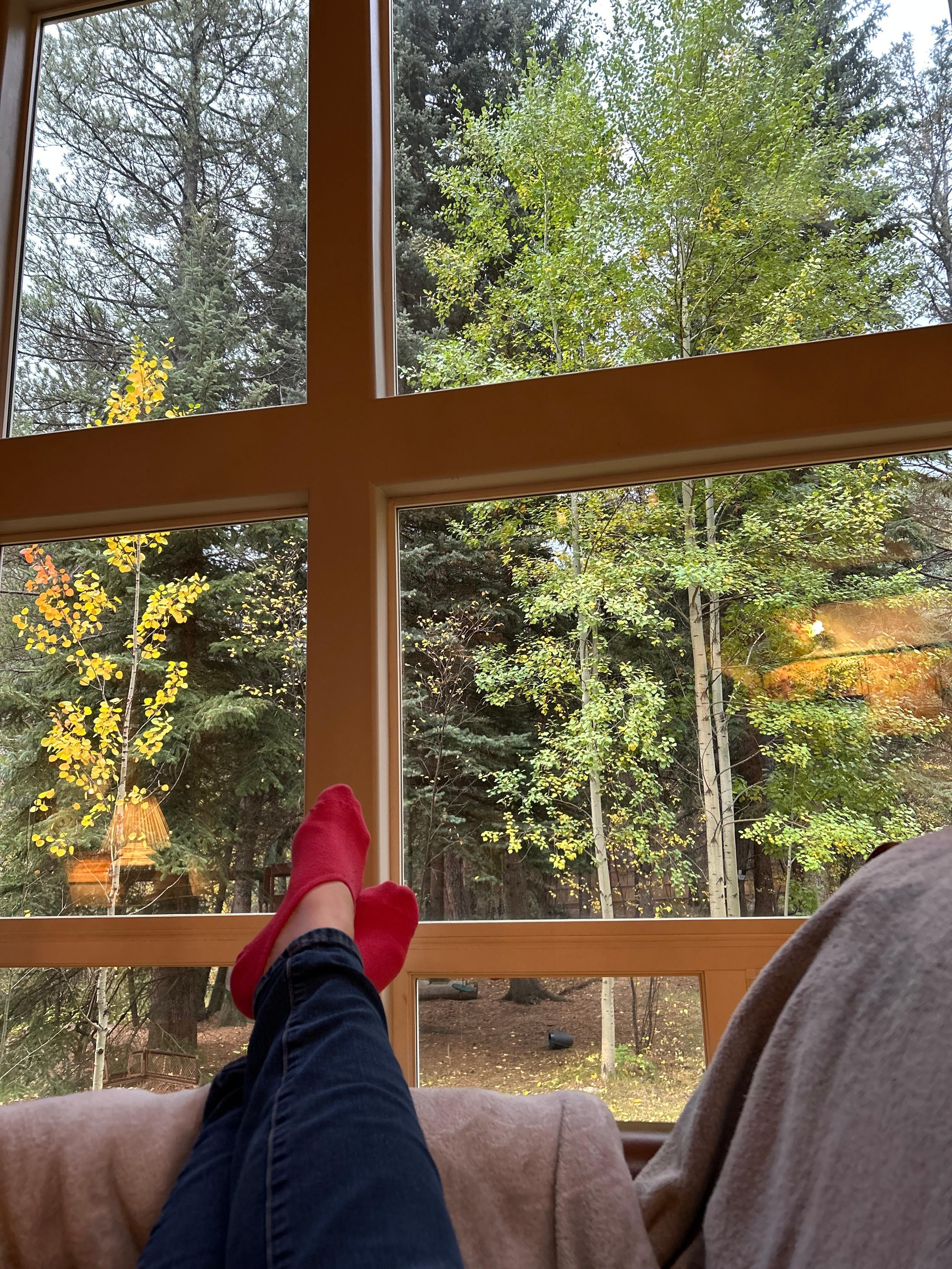 Relaxing view from the living room area.