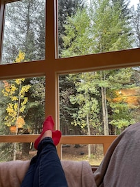 Relaxing view from the living room area.