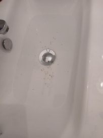 Ants that crawled into a cosmetic bag left on the sink