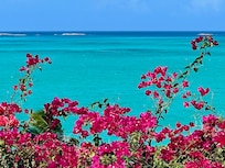 View from the main house deck.