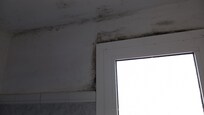 Significant black mold