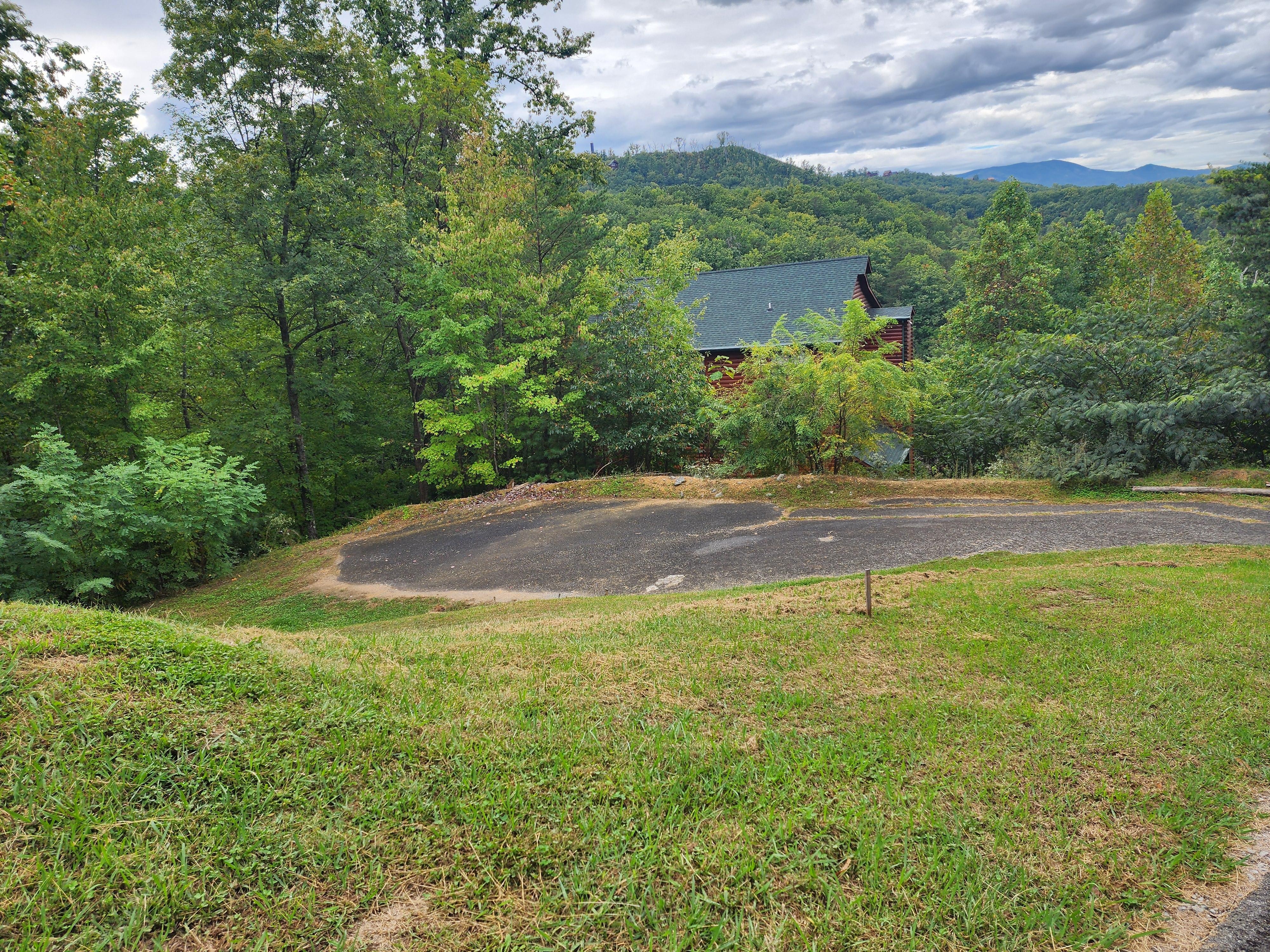 This is big yard for dog