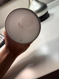 Baby roaches