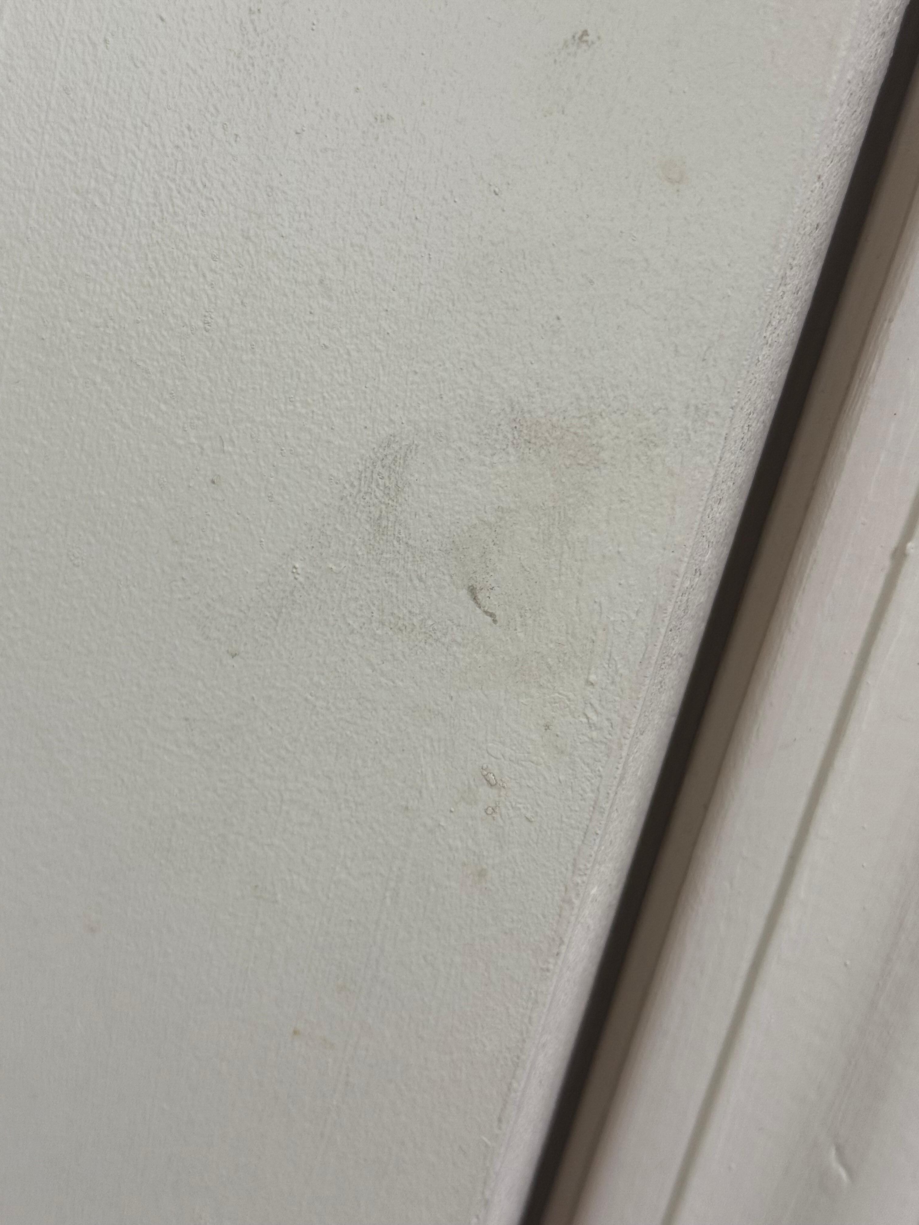 Dirt and grime on bathroom door 