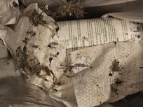 What i was getting off the floors