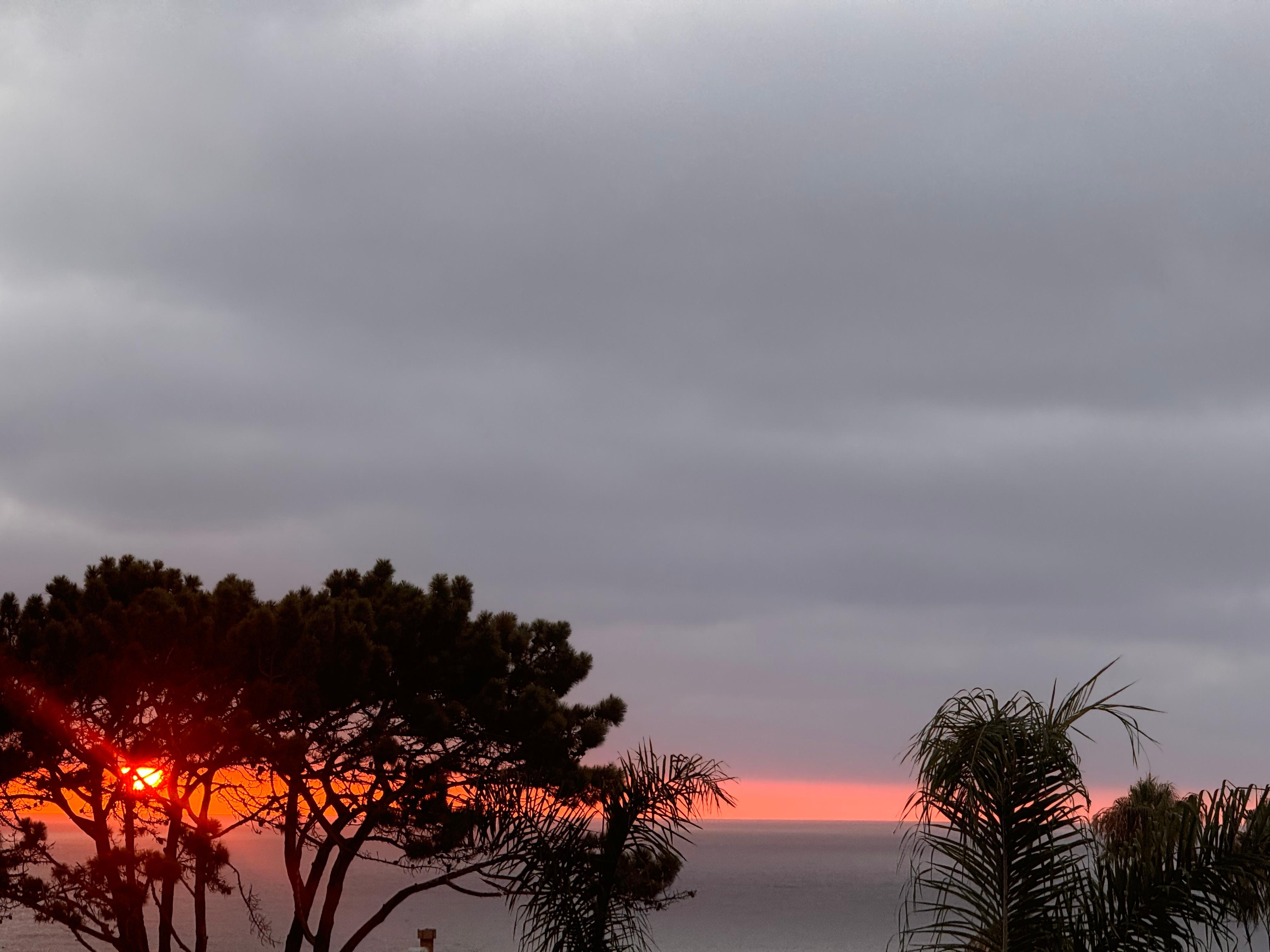 This was the sunset on the rooftop dining experience. 