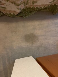 Unattended pet stains