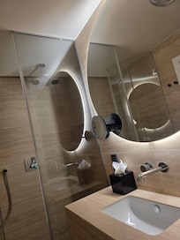 Spectacular and spacious toilet and shower