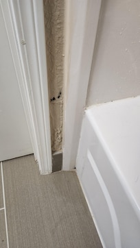 Bathroom mold