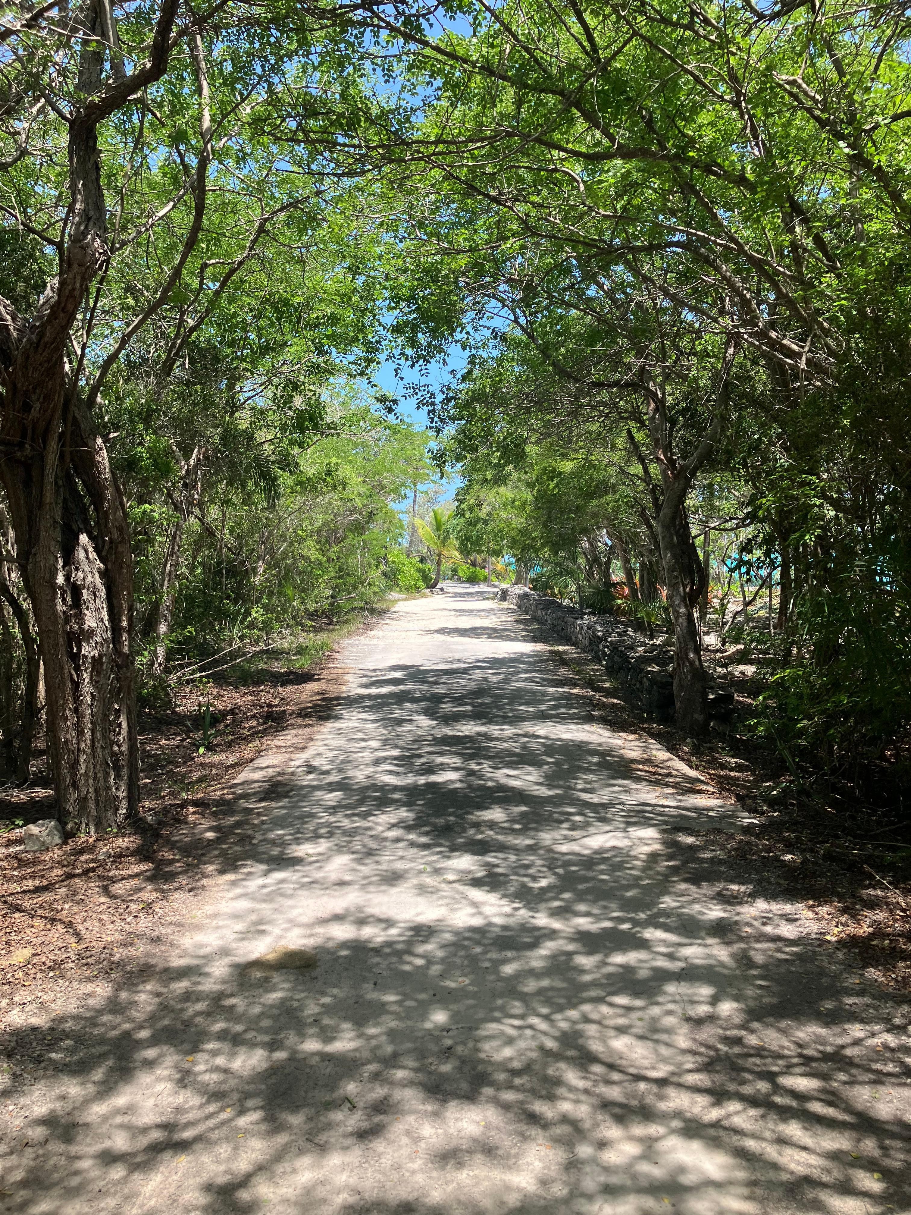 Pathway to private beach