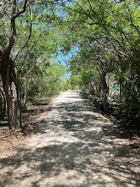Pathway to private beach