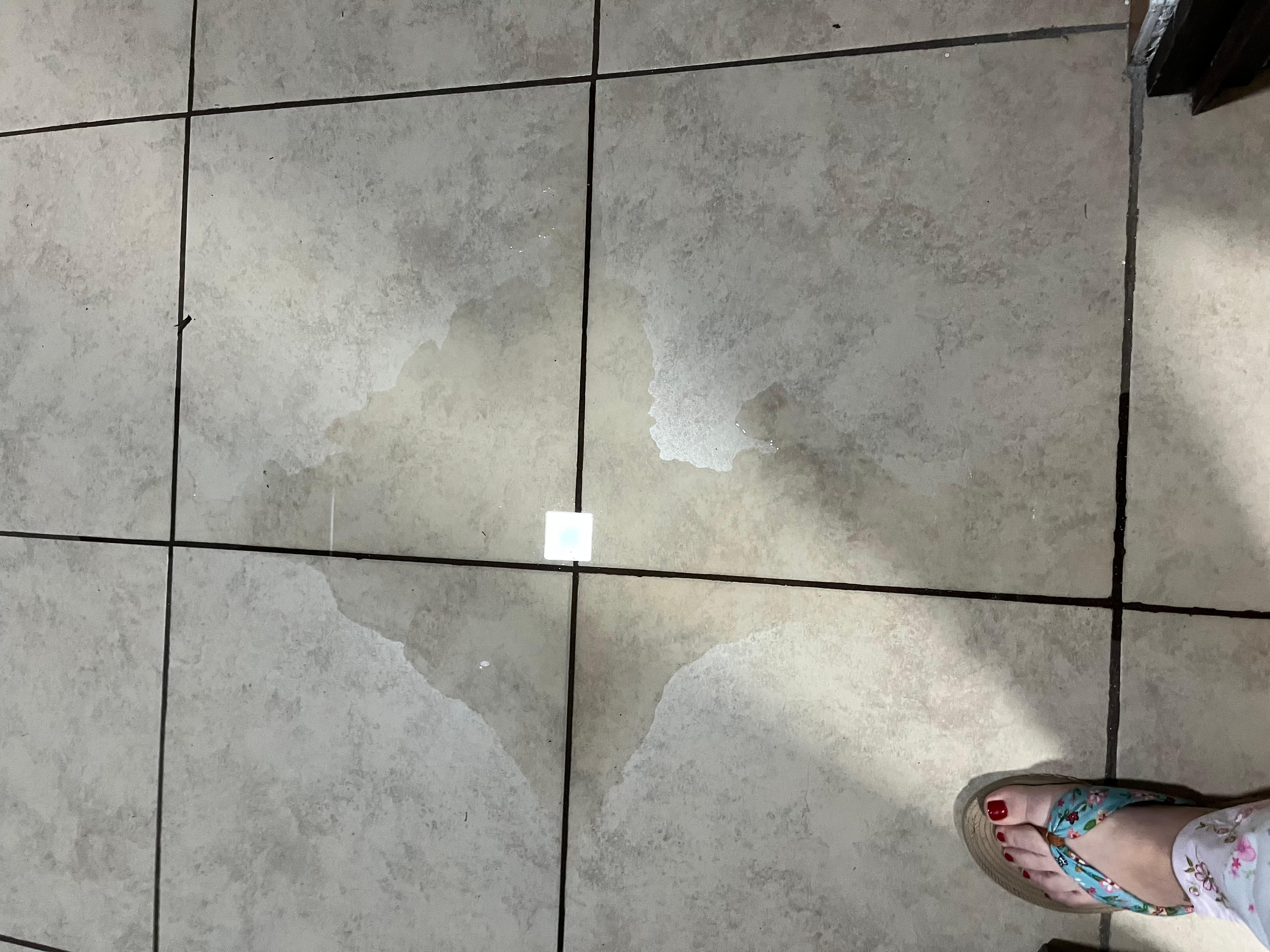 El baño se salia el agua por debajo cuando hechabas el agua.