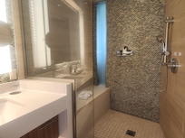Luxurious bathroom