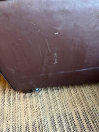 Disgusting filth on chair in room with beer cap