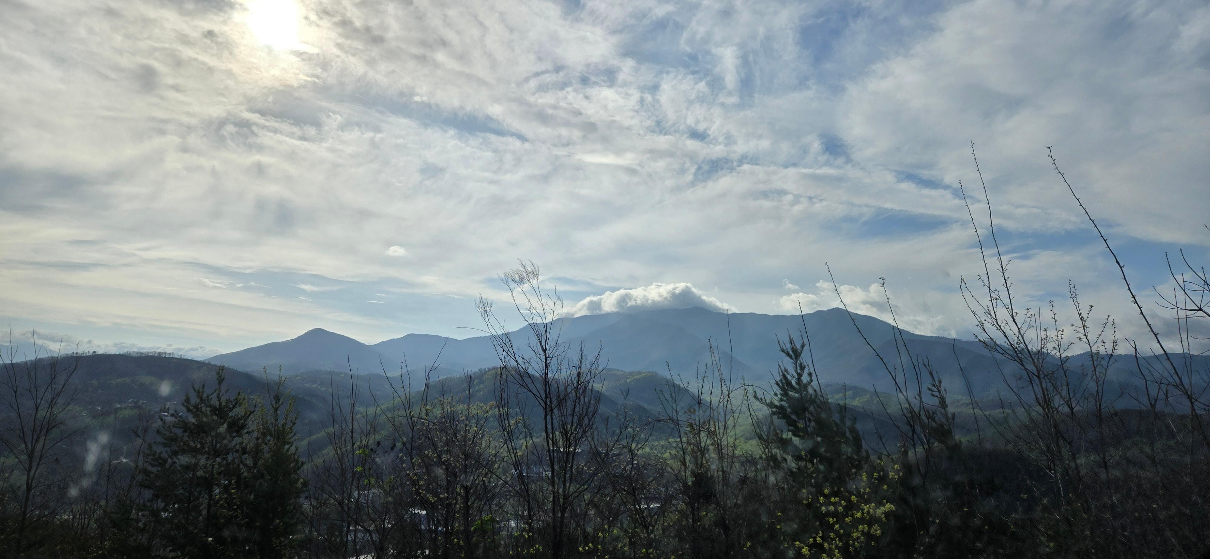 View from living room bay window