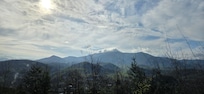 View from living room bay window