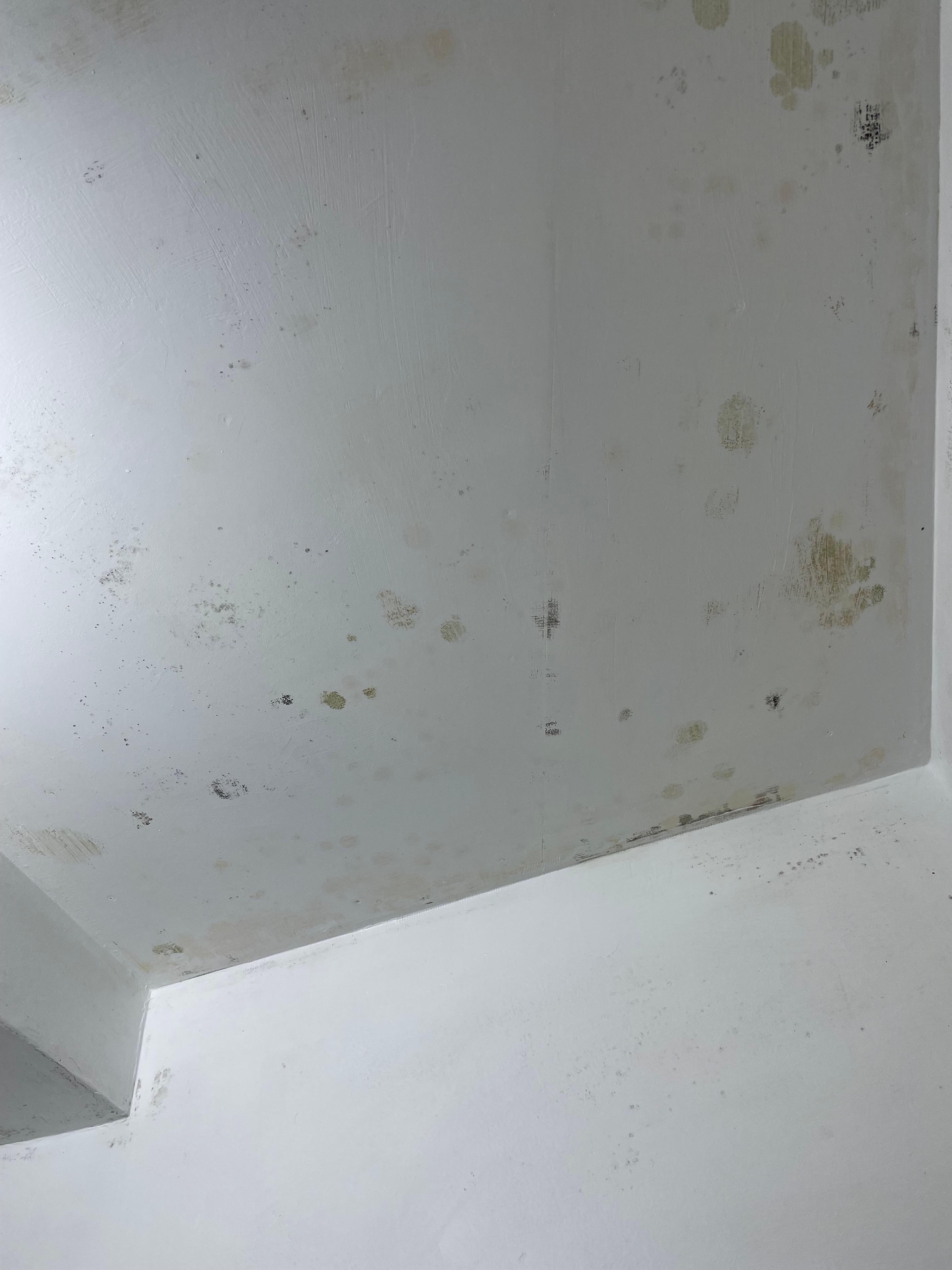 Bathroom moulding