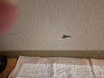 On the walls beside dresser next to the baseboard