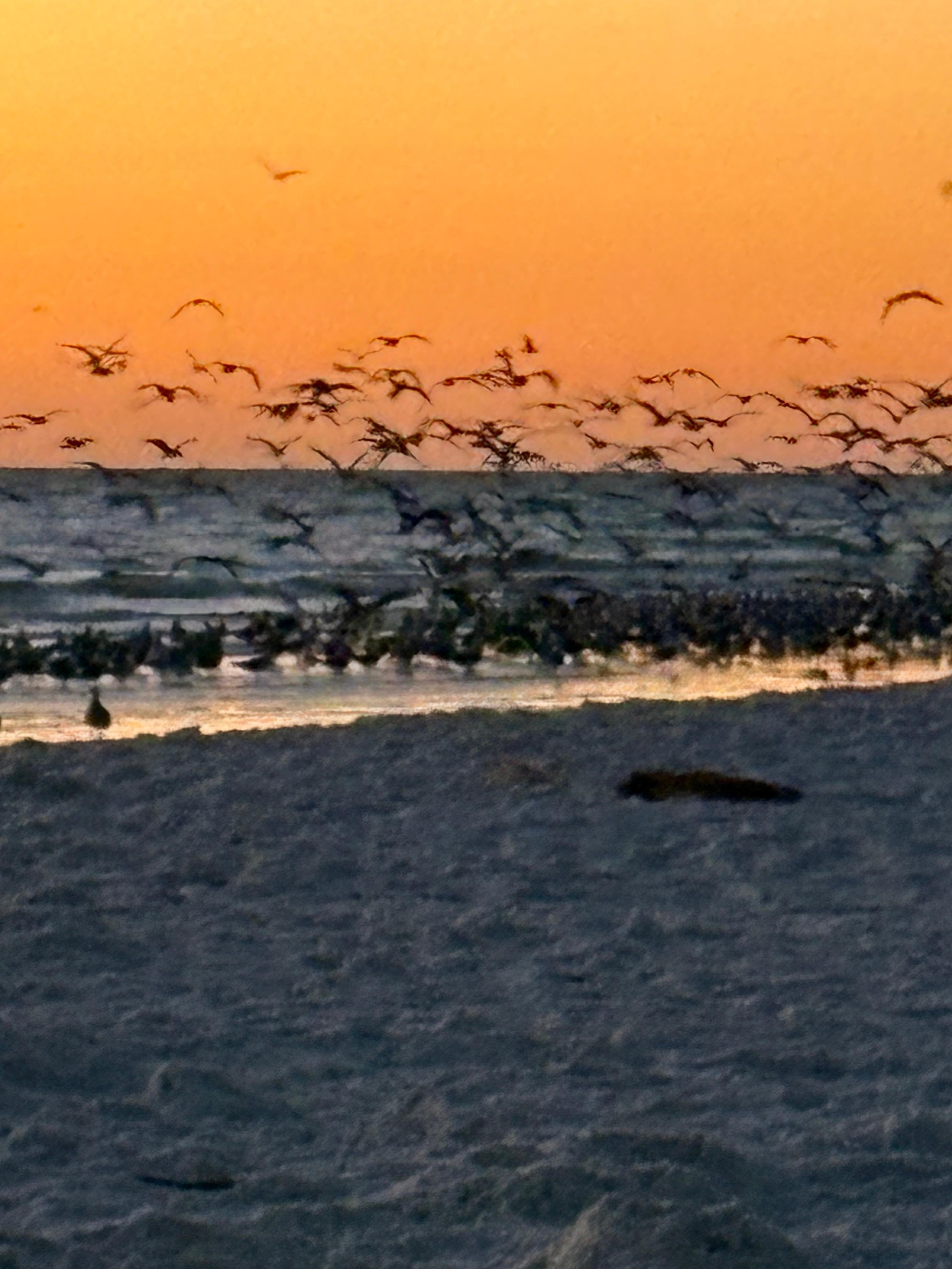 Short walk to beach for sunset