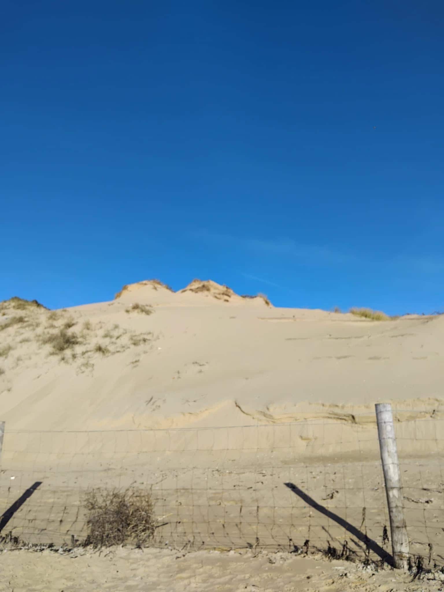 Chemin dans les dunes face à l'appartement 
