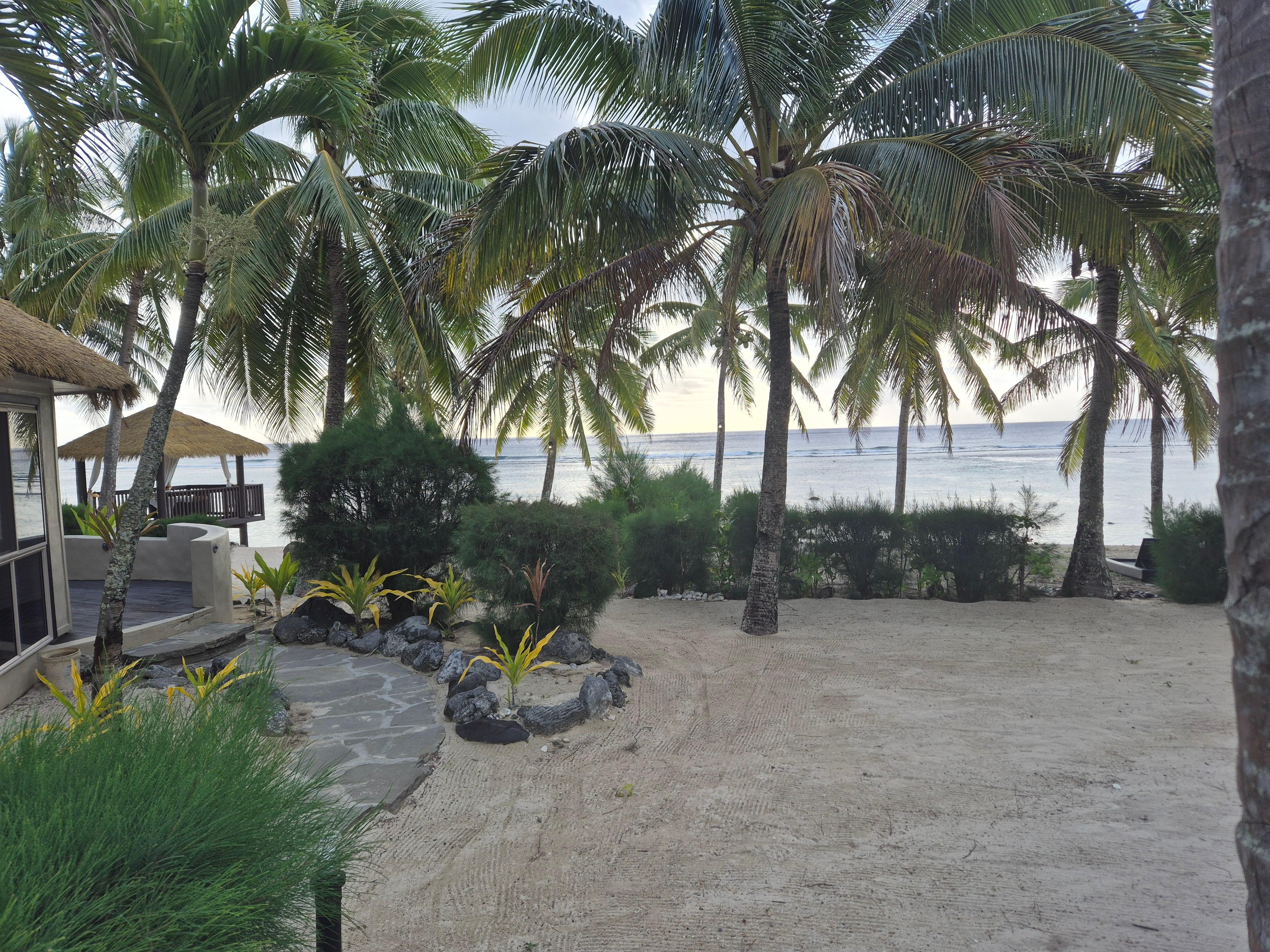 Our view for the week.