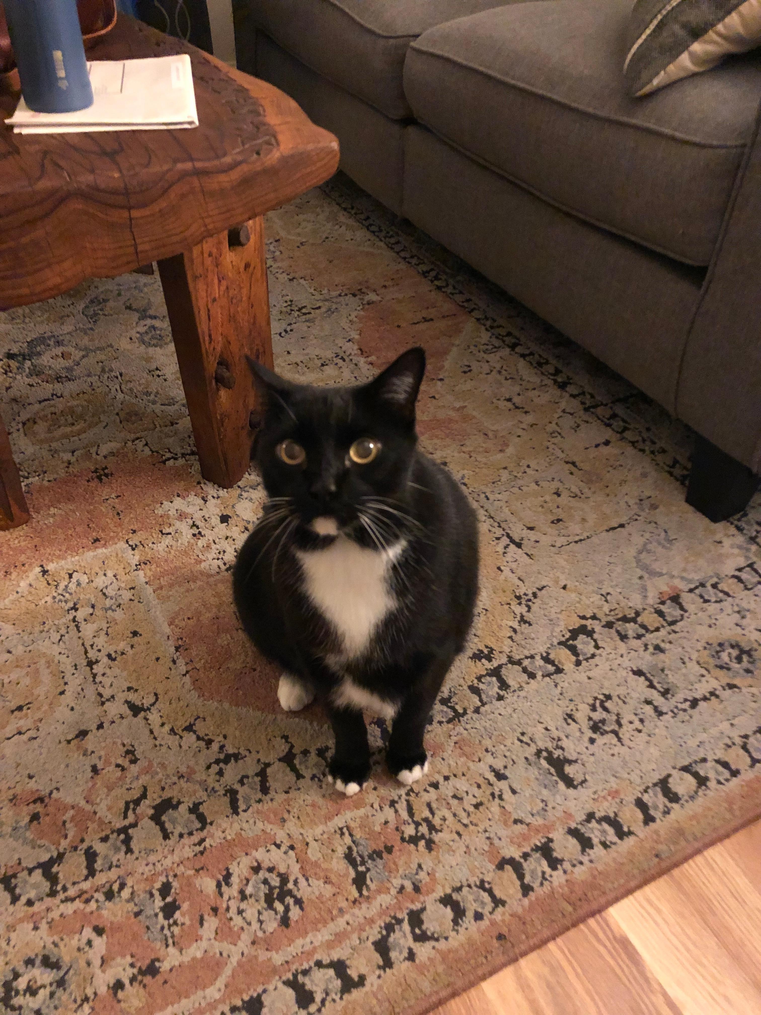 Your Greeter. ☺️