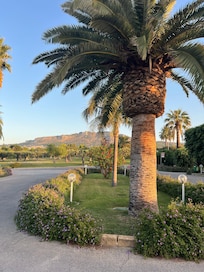 Beautiful grounds