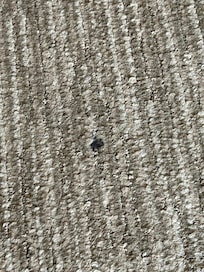 Cigarette burn holes in carpet