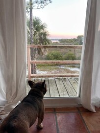 Jake loved the floor to ceiling windows lol